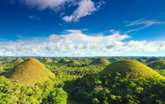 Chocolate Hills