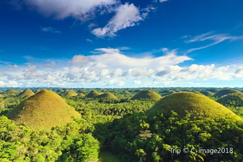 Chocolate Hills