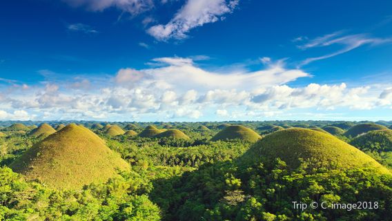Chocolate Hills