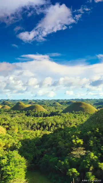 Hotels near Chocolate Hills