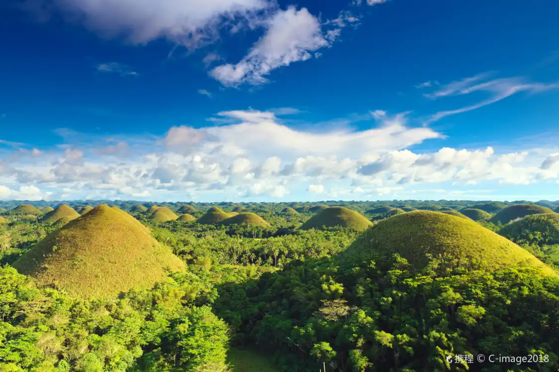 Hotels near Chocolate Hills
