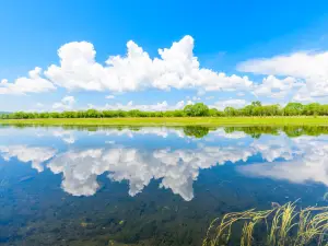 Ergun Wetland Park