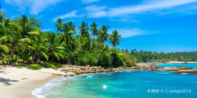 Hướng Dẫn Chi Tiết - Cách Chuyển Đổi Visa Du Lịch Sang Visa Lao Động Tại Sri Lanka