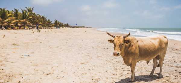 2-Star Hotels in Gambia