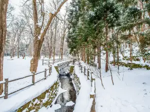 円山公園