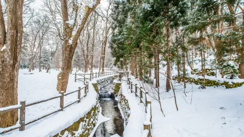 Maruyama Park attraction in Sapporo