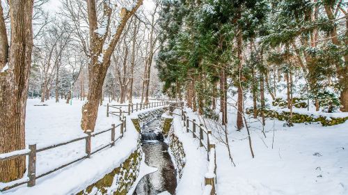 Maruyama Park