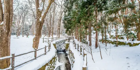 圓山公園