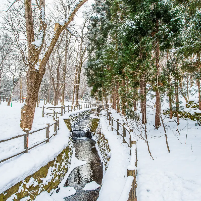 圓山公園