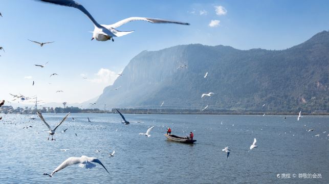 昆明滇池+雲南民族村+西山龍門純玩一日遊【可選8人內小團】