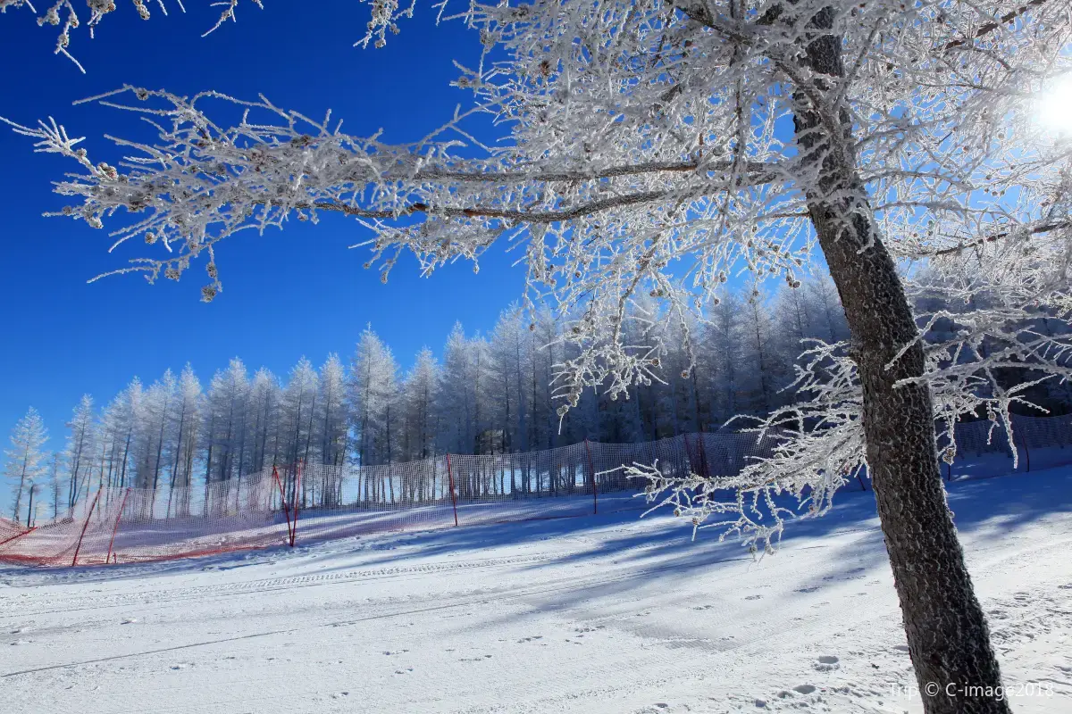 Estación de esquí de Wanlong