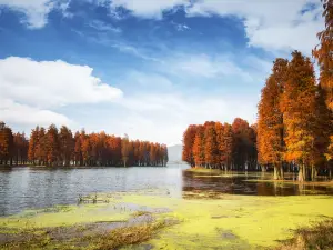 Top 20 Herfst uitzicht attracties in Ningbo