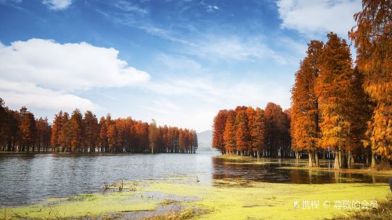 餘姚四明湖+浙東小九寨一日遊【包車團丨寧波/紹興/餘姚接送】