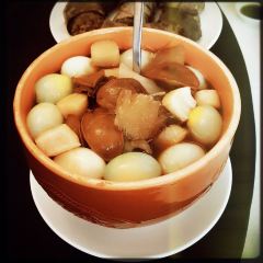 HARMONY GARDEN User Photo