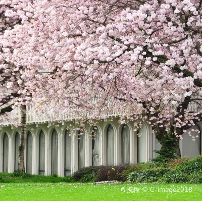 Các khách sạn ở Vancouver