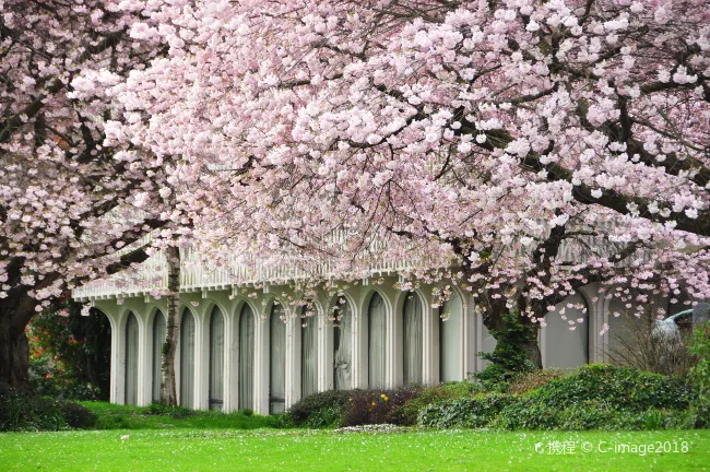 Для бизнес-поездок Отели в г. Фредериктон