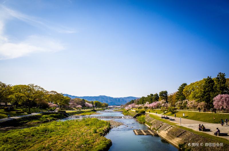 Kamo River