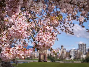 Queen Elizabeth Park