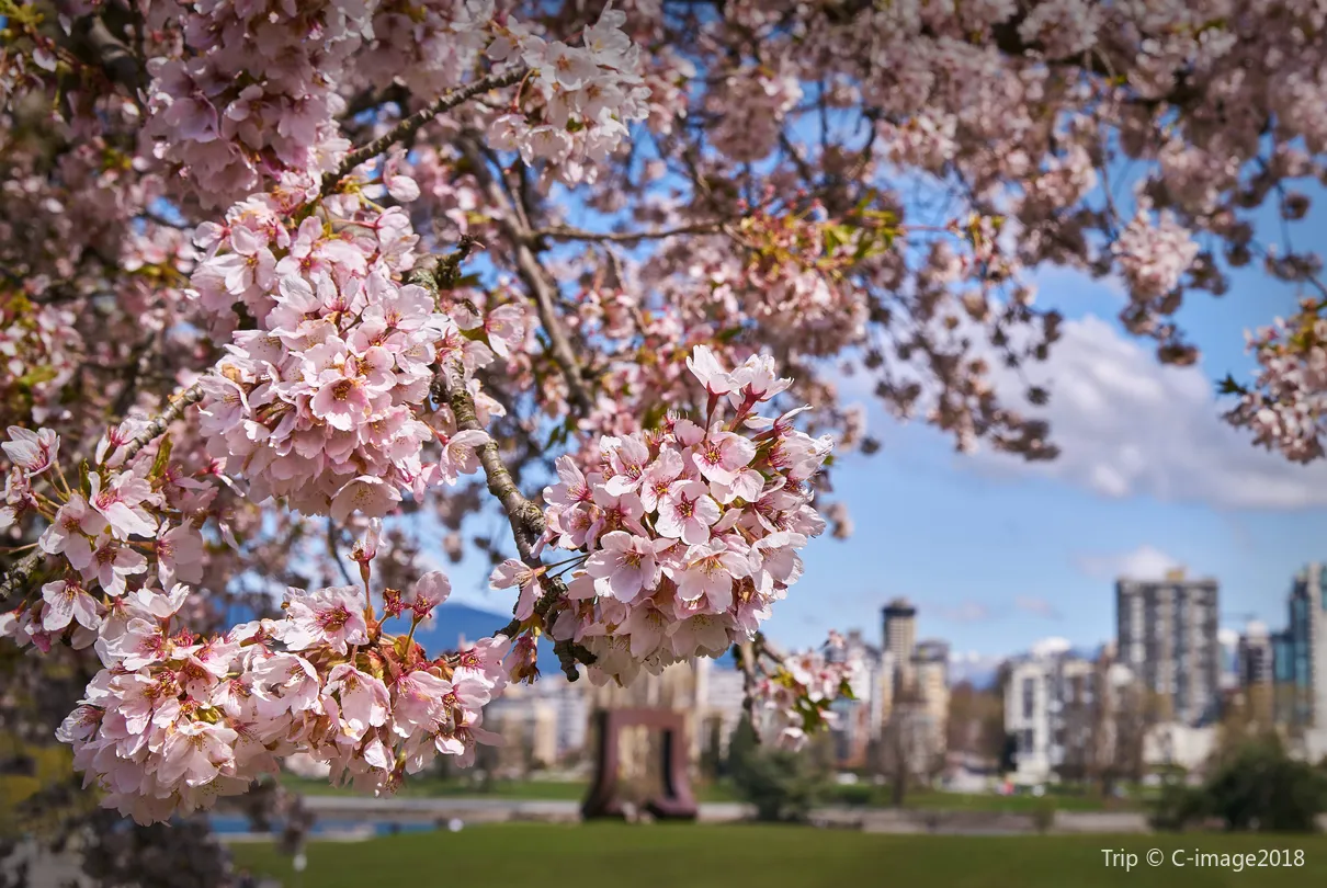 2_ควีนอลิซาเบธปาร์ค