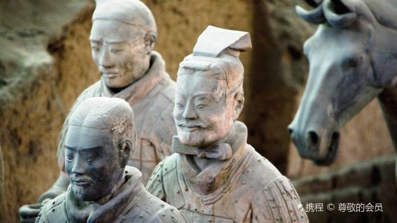 Xi'an Private Day Tour:Terracotta Warriors+Qin-Themed Restaurant+City Wall+Muslim Quarter