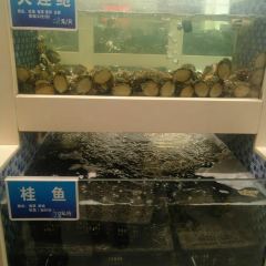 Xinhongji Lijiu Restaurant User Photo