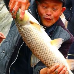 川粤菜馆(兴隆路店) User Photo