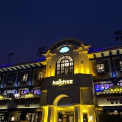 hallch User Photo