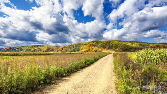 Hancongling Maple Leaf Red Tourism and Leisure Area