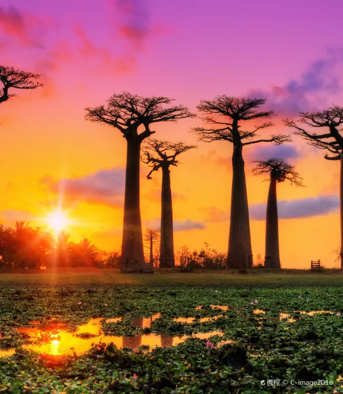 Morondava