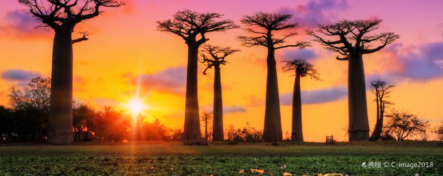 Morondava