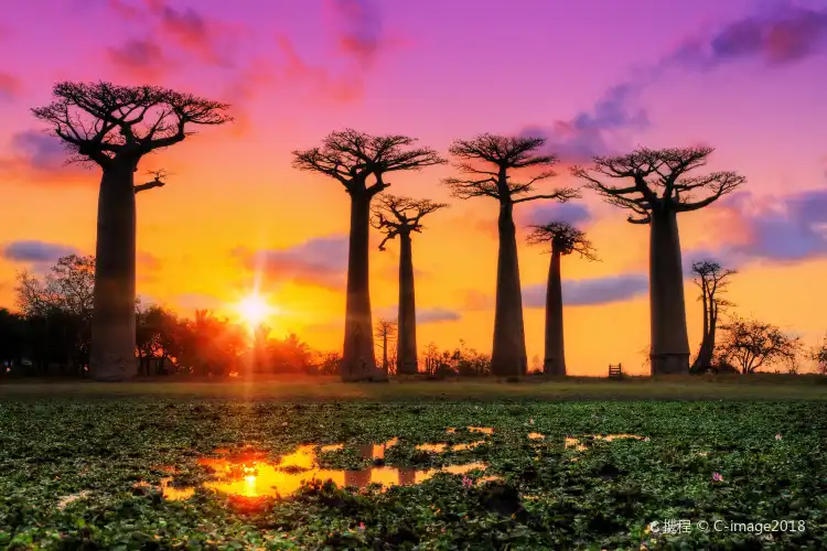 Morondava