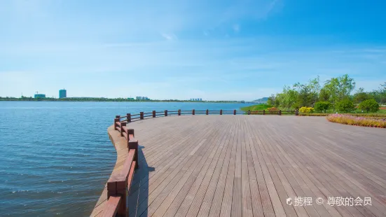 桑溝灣濕地公園