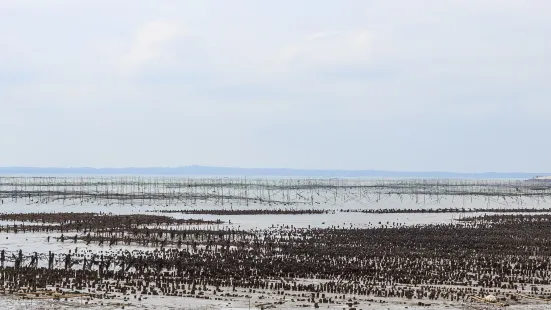 Xiaodeng Island