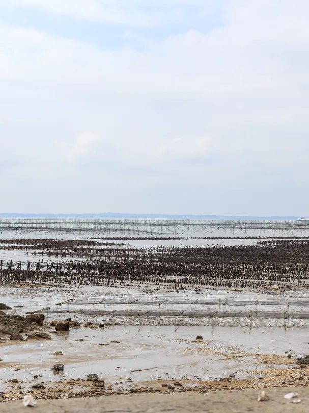 2_เกาะลิเบอร์ตี้