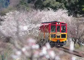Arashiyama Sagano Romantic Train