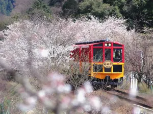 아라시야마 사가노 로맨틱 열차