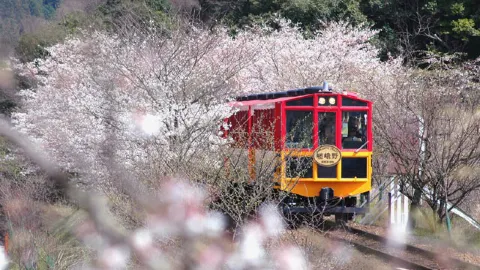 Arashiyama Sagano Romantic Train attraction in Kyoto
