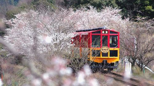 嵐山嵯峨野觀光小火車