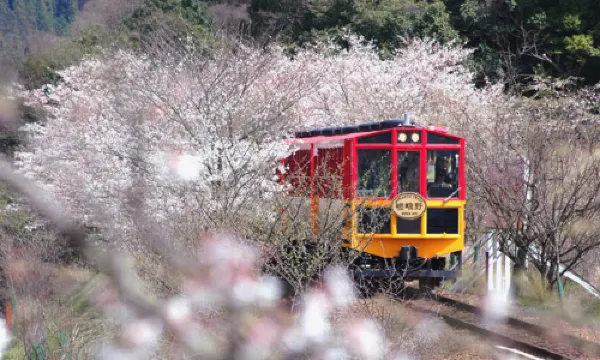 Arashiyama Sagano Romantic Train
