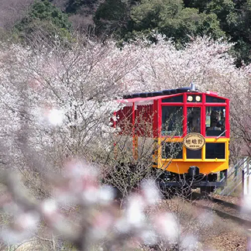 รถไฟสายโรแมนติกซากาโนะ