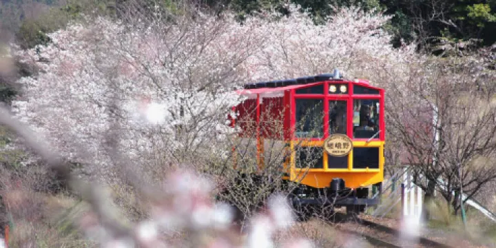 嵐山嵯峨野觀光小火車