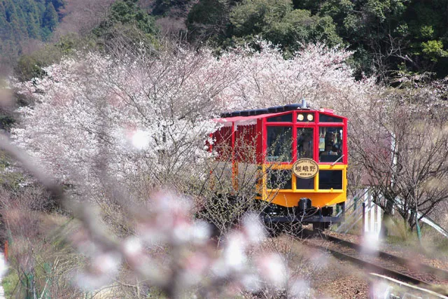 2_รถไฟสายโรแมนติกซากาโนะ