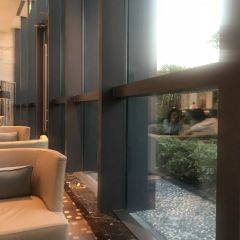 巨樹咖啡館張用戶圖片