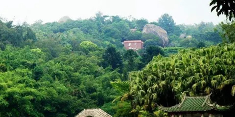 2人起獨立包團萬石植物園曾厝垵中山路一日遊廈門泉州漳州上門接送