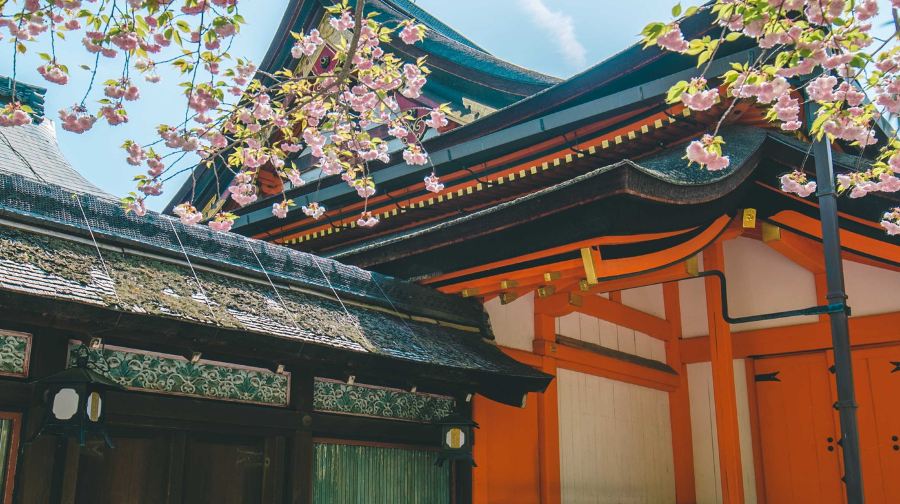 清水寺+東大寺+奈良公園+伏見稻荷大社一日遊【普通話司機】