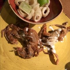 Pesca張用戶圖片