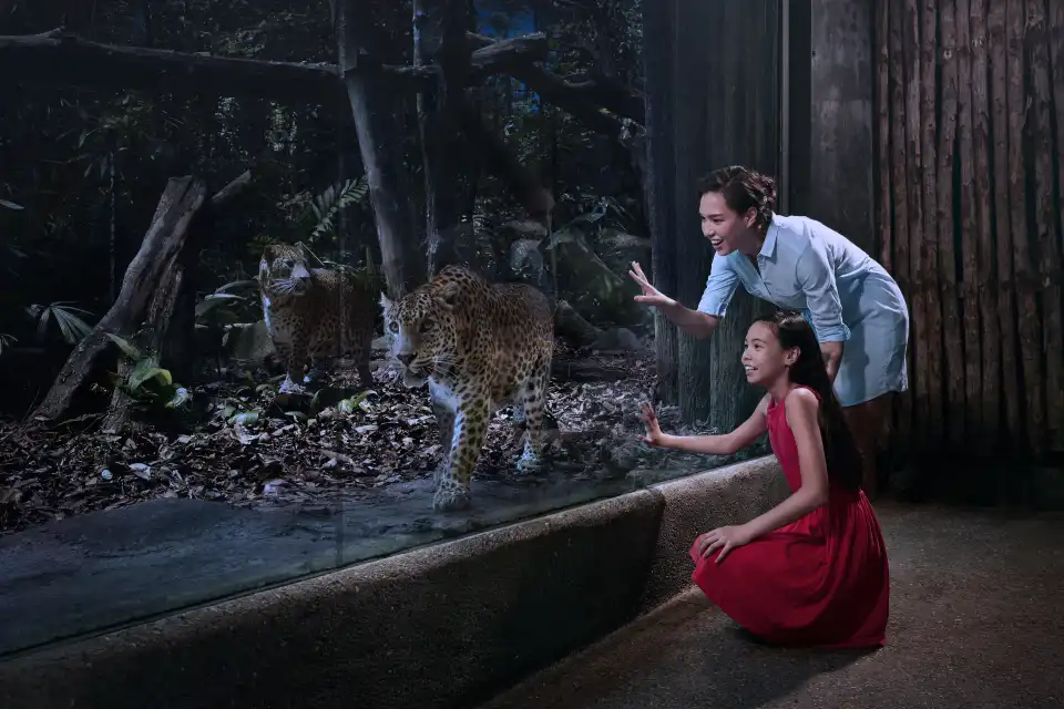 5_Night Safari