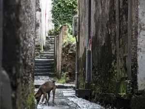 Bubu Gaosheng Alley