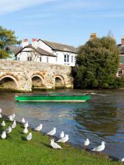 Punting On The Avon (Antigua Boat Sheds)