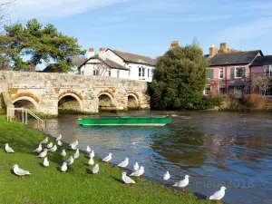 Punting On The Avon (Antigua Boat Sheds)